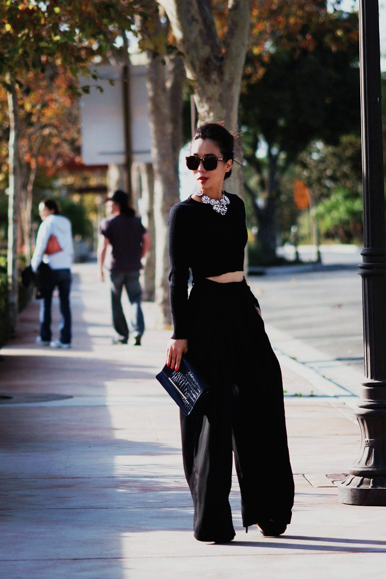 HallieDaily Cropped Top and Wide Leg Pants 2