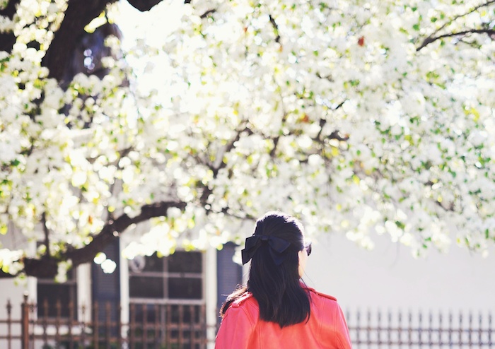 Red Leather Jacket, Red Floral Midi Skirt, Red Clutch, Chanel Barrette, via: HallieDaily