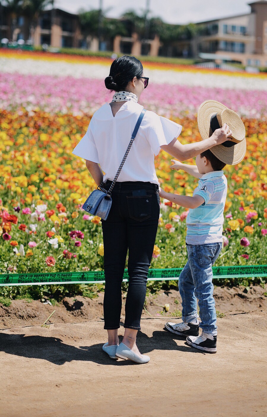 Travel, Flower Field, CA, Mothers Day, Love, Flowers, Pretty, via: HallieDaily