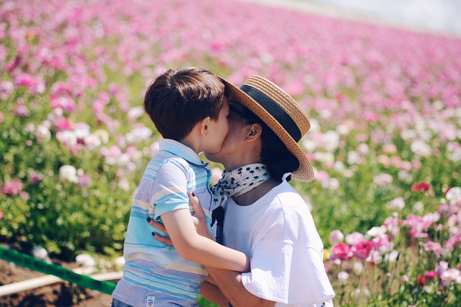 Travel, Flower Field, CA, Mothers Day, Love, Flowers, Pretty, via: HallieDaily