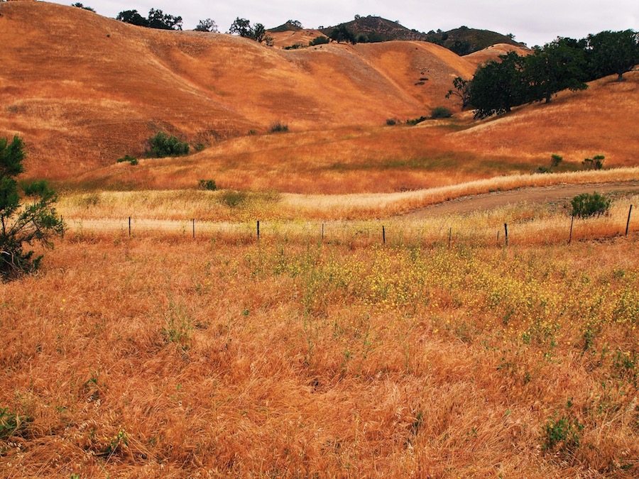 Family Travel: California, Alisal Ranch, Resort, via: HallieDaily