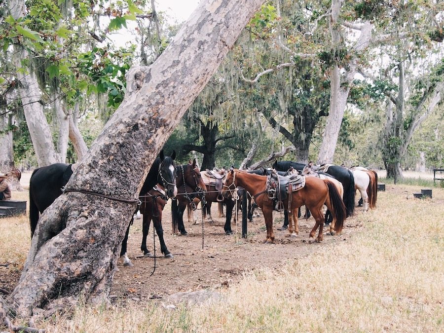 Family Travel: California, Alisal Ranch, Resort, via: HallieDaily