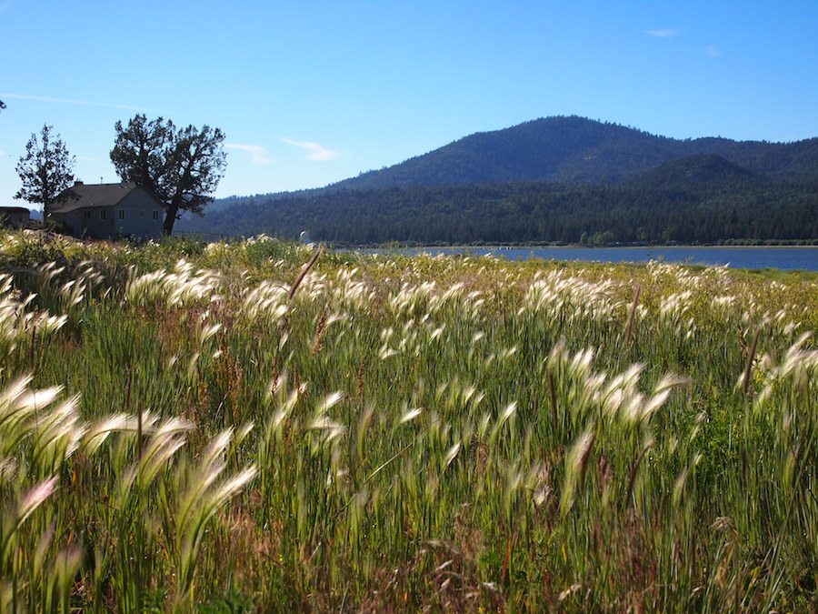 Family Travel, Big Bear Lake, California, Outdoor Activities, via: HallieDaily