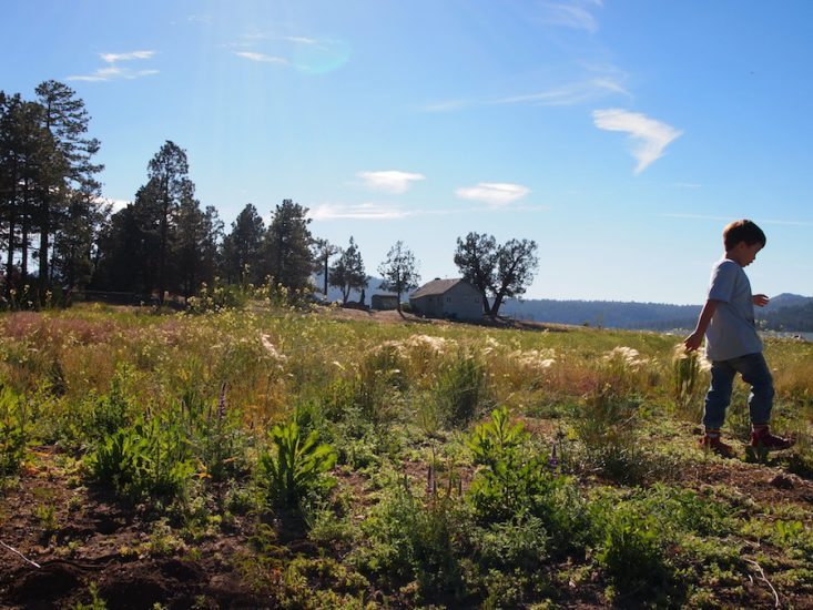 Family Travel, Big Bear Lake, California, Outdoor Activities, via: HallieDaily