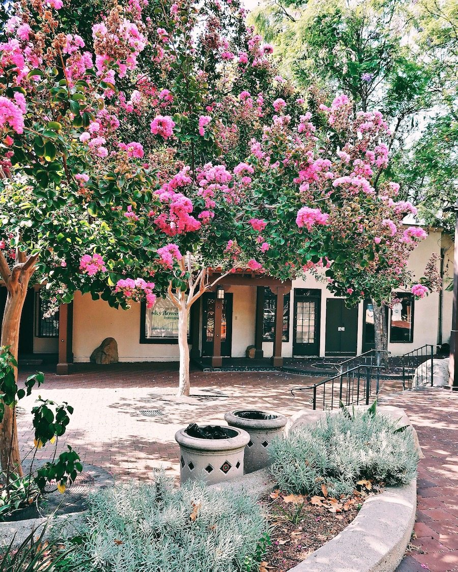 HallieDaily, Travel, A Day in Ojai, Gingham Wrap Top, Black Boater Hat, Chanel Tweed Bag, Oscar de la Renta Bow Flats