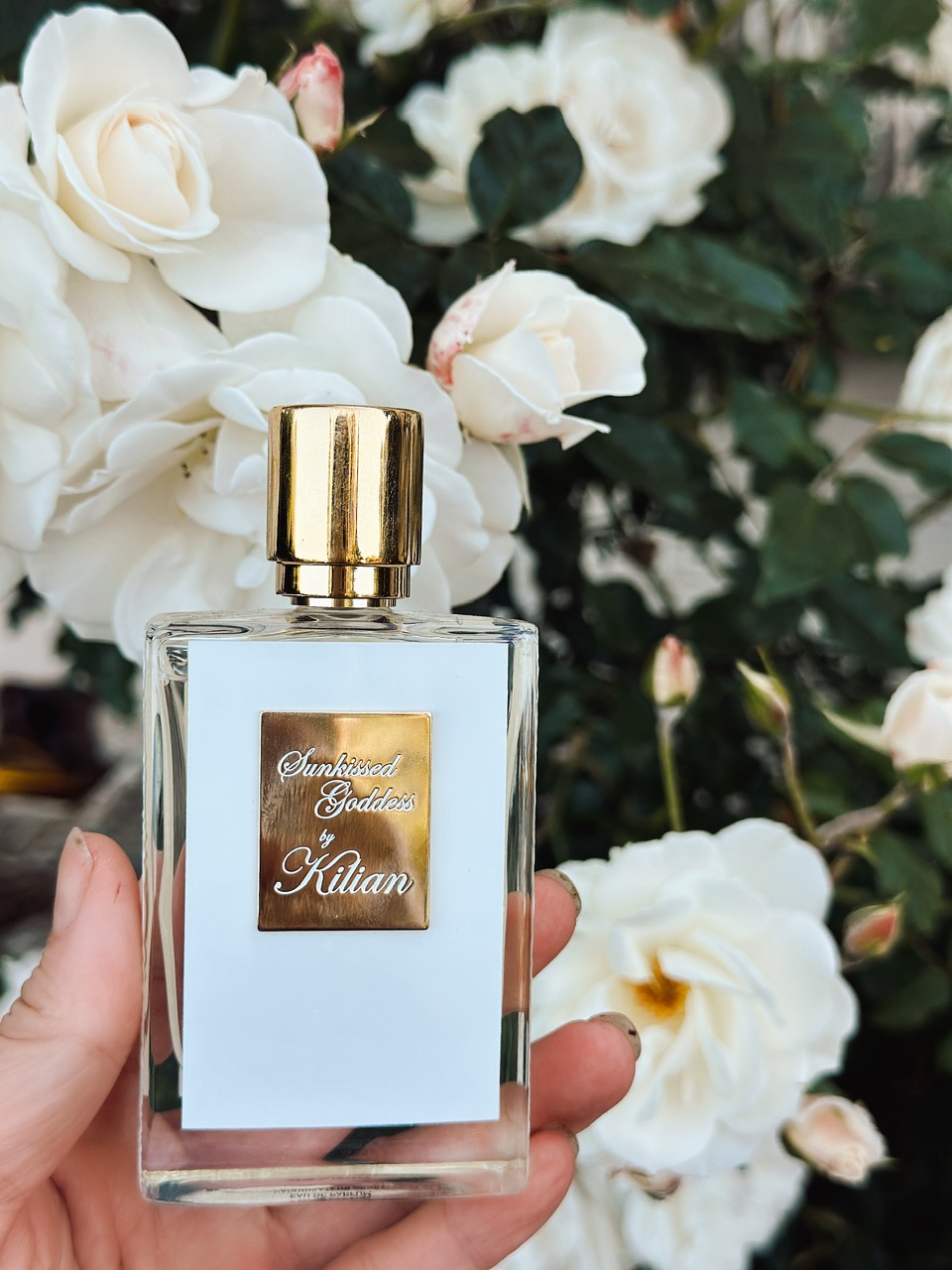 8 Perfumes I Am Living in This Summer,